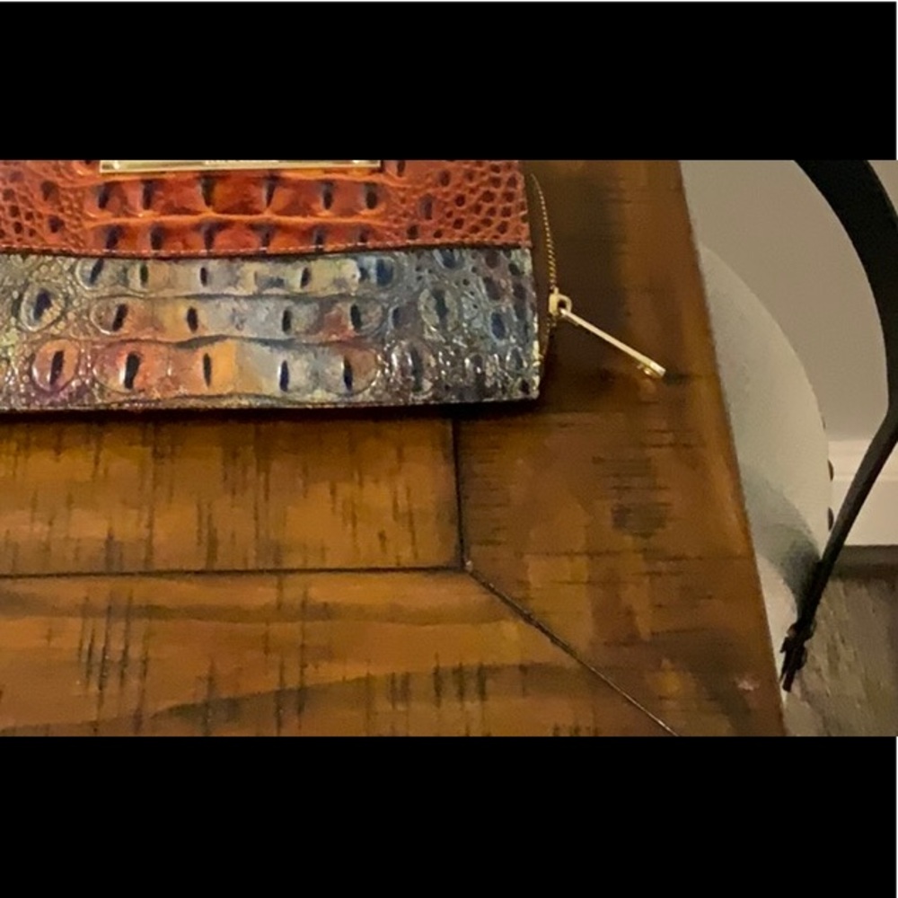 Brahmin wallet